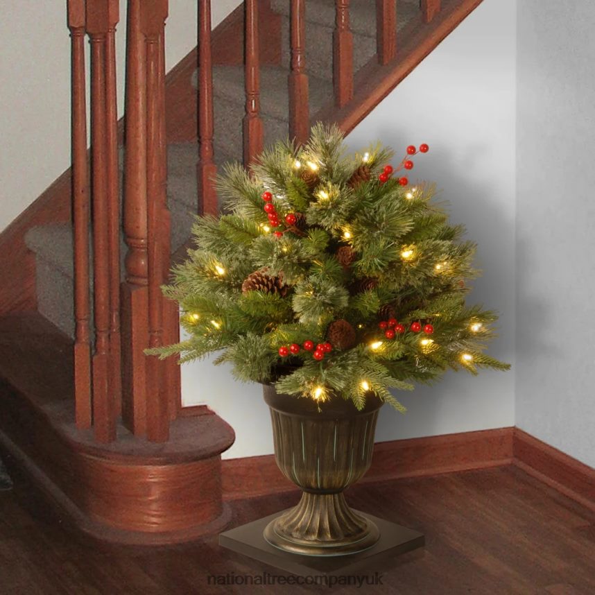 Greenery | National Tree Company 24\ Colonial Porch Bush with Clear Lights F2L4F449